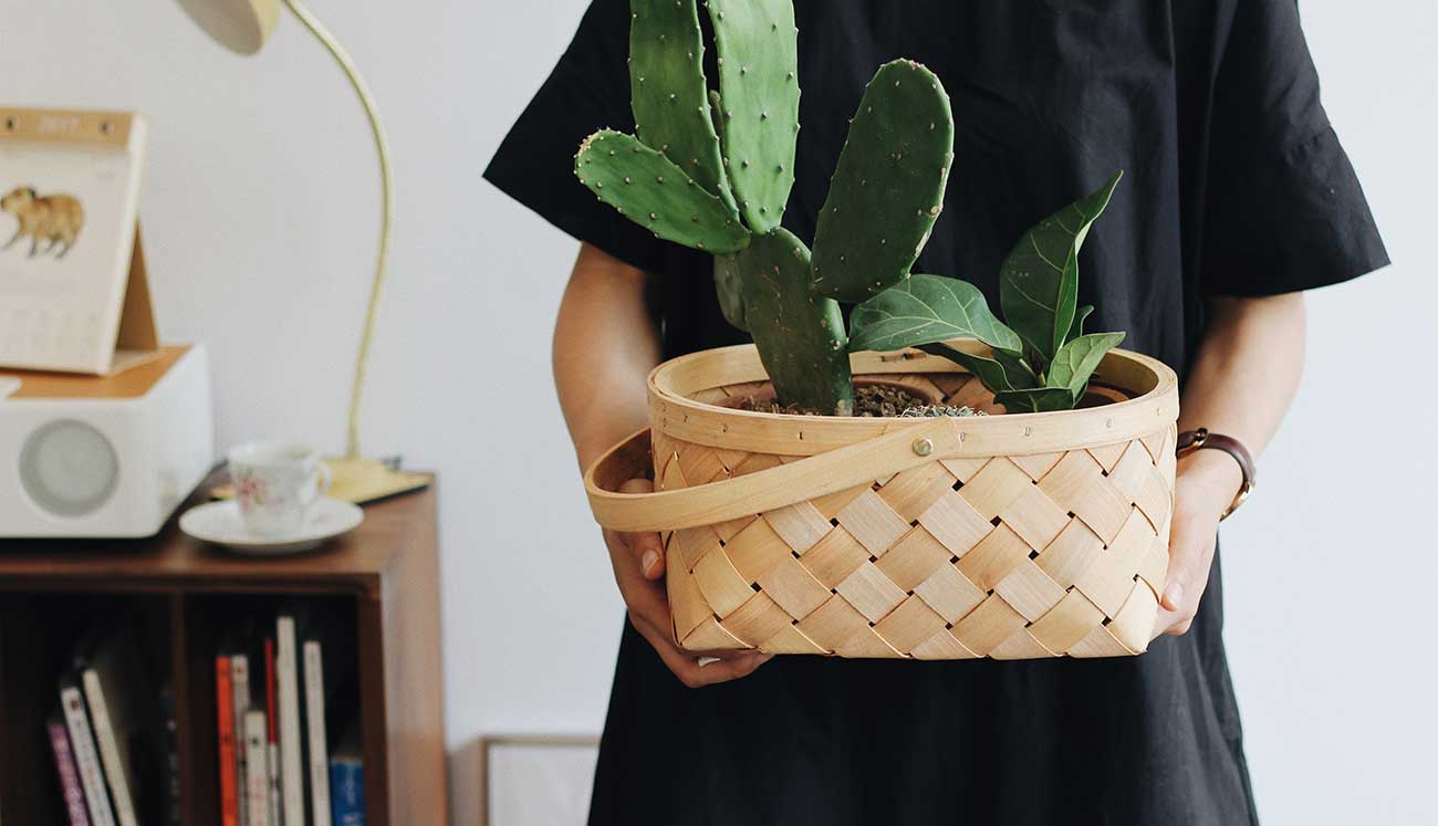 We take flowers personally