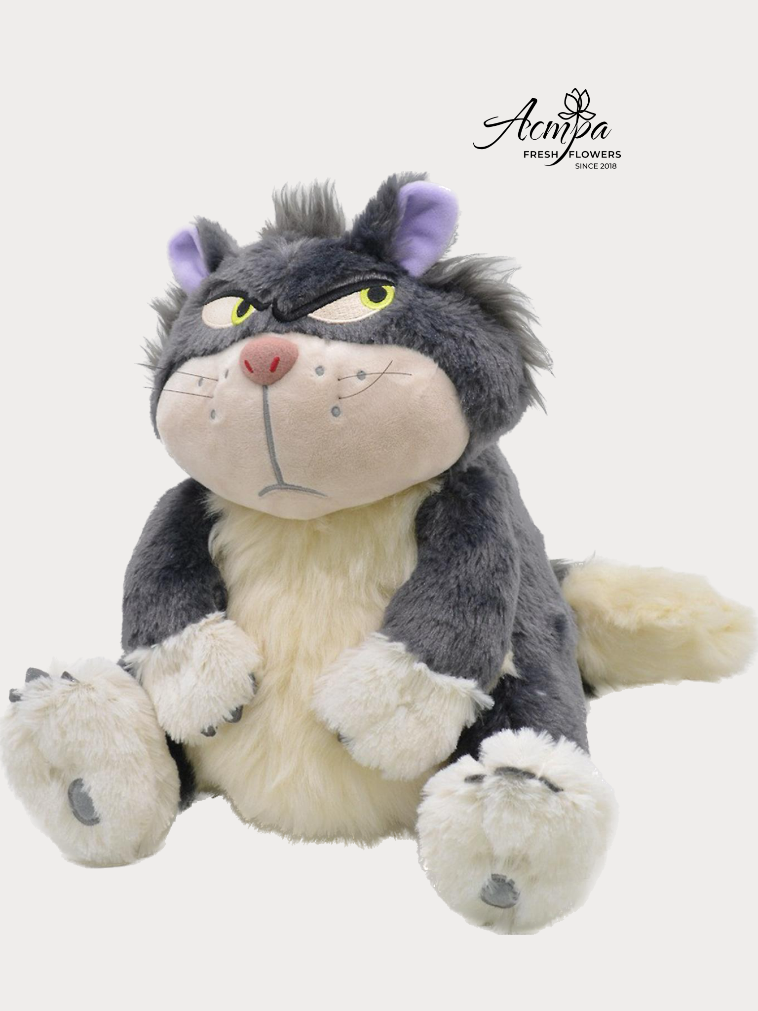 Ууртай муурны чихмэл жижиг