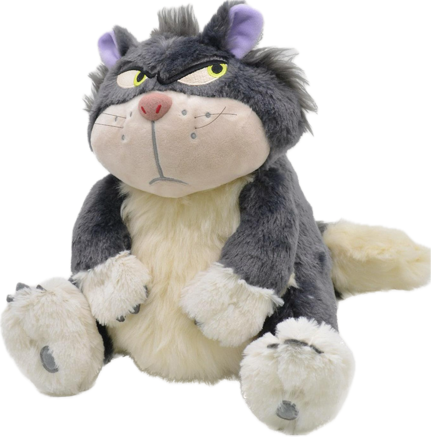 Ууртай муур жижиг