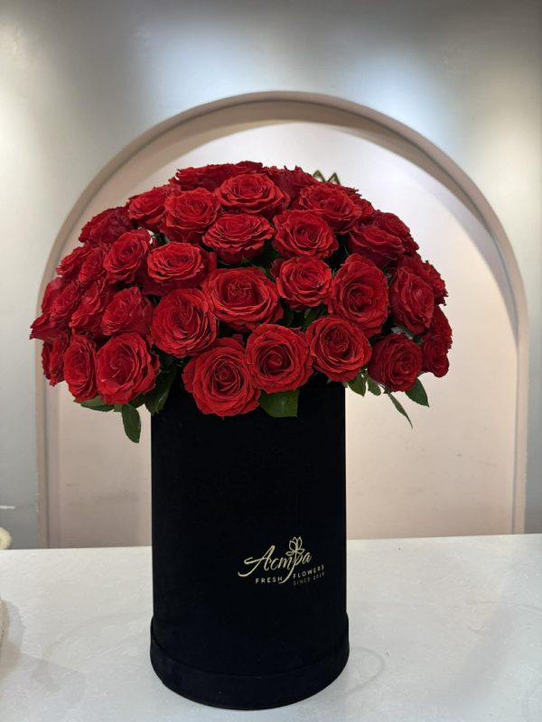 177545024890.jpg #800